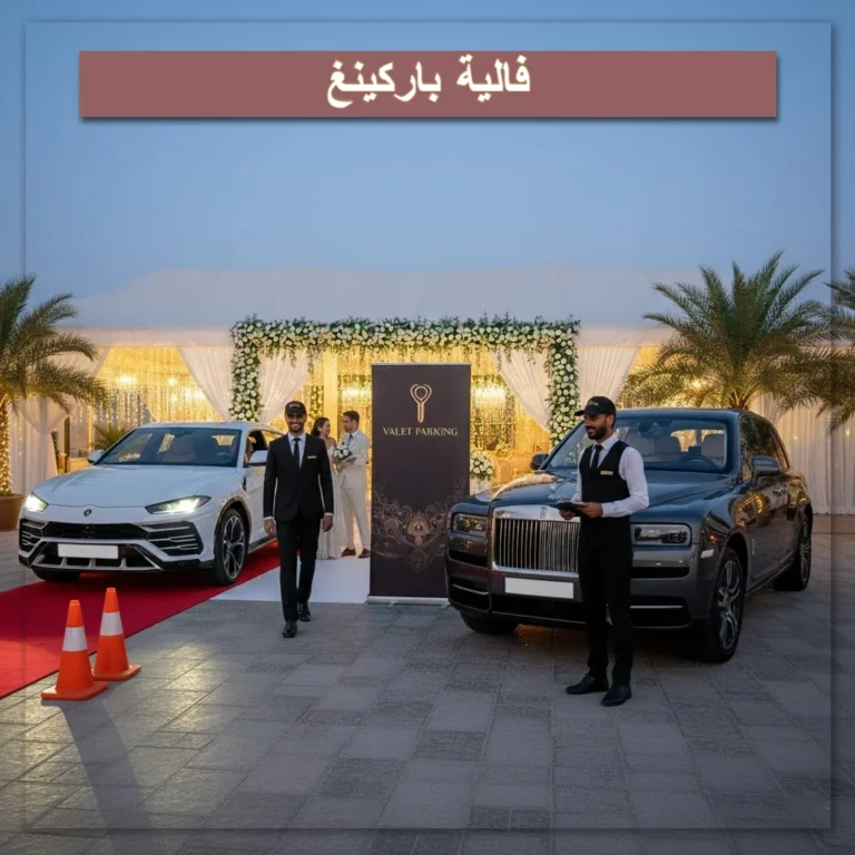 فالية باركينغ